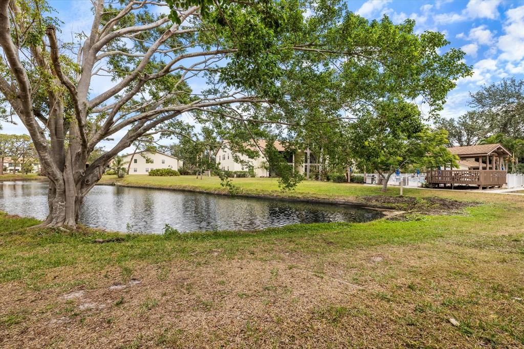 748 White Pine Tree Road, Unit 204 Venice, FL 34285 - Photo 3 of 48 a view of lake with a yard