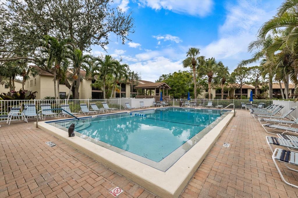 748 White Pine Tree Road, Unit 204 Venice, FL 34285 - Photo 35 of 48 a view of swimming pool with chairs