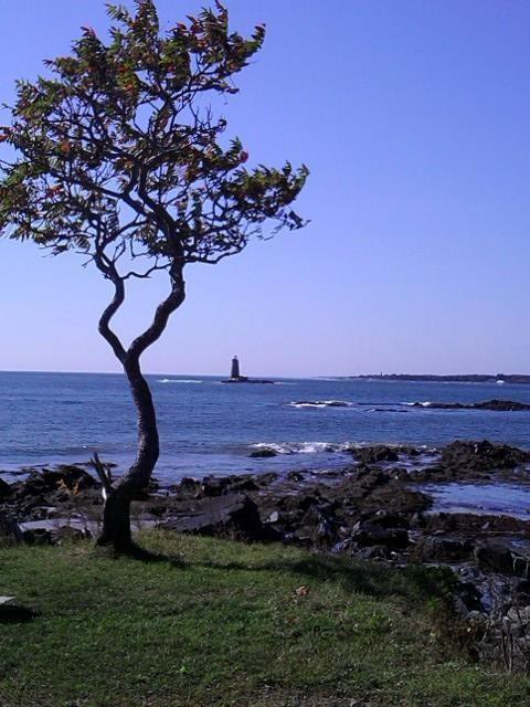 74 Brave Boat Harbor Road Kittery, ME 03905 - Photo 20 of 21 Photo