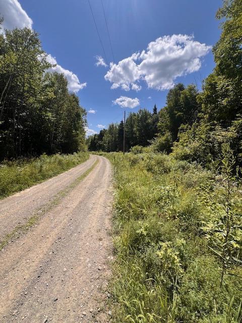 Lot 35 Woodland Ridge Road Danforth, ME 04424 - Photo 15 of 17