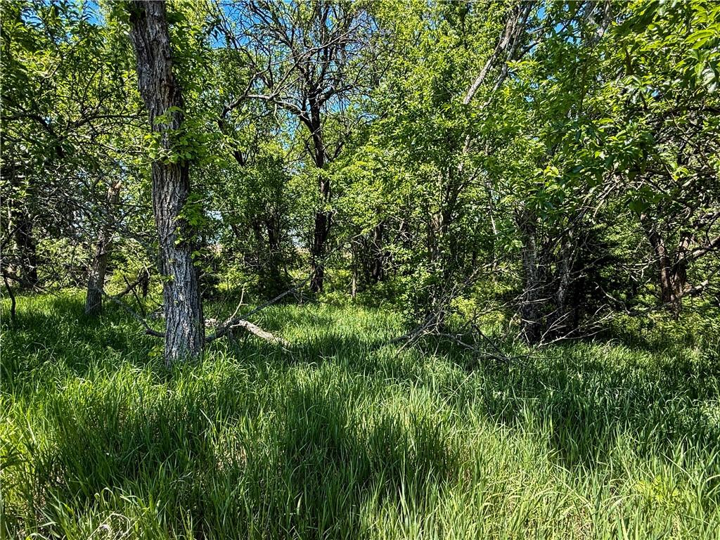 0 South Stanley Road Quenemo, KS 66528 - Photo 24 of 44