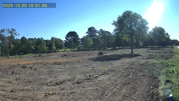 a view of a dry yard with trees in the background