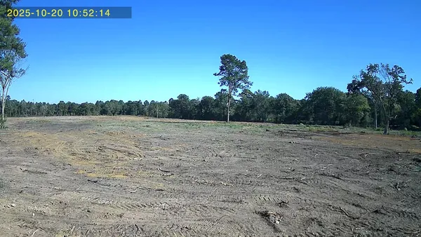 a view of a field with trees in the background
