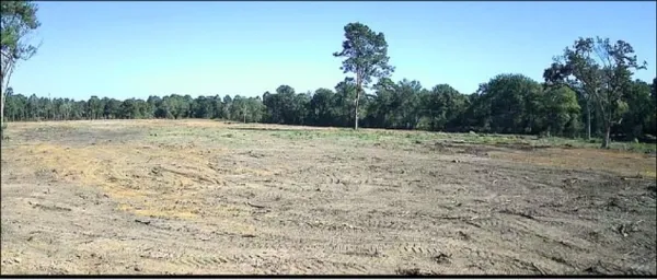 a view of dirt field with trees