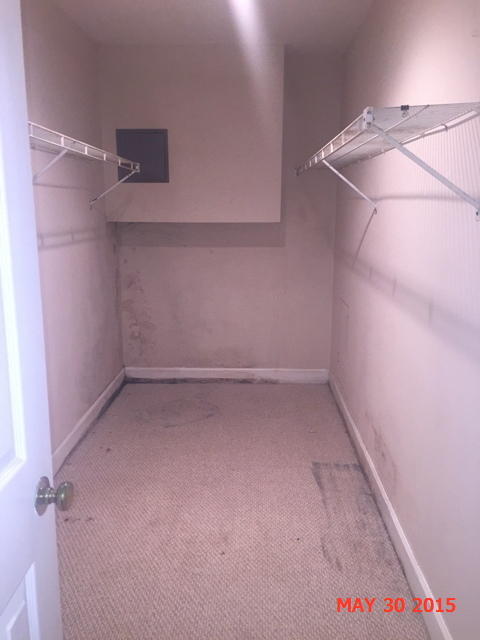 214 Memorial Drive Rising Fawn, GA 30738 - Photo 13 of 18 Closet in Downstairs Bedroom