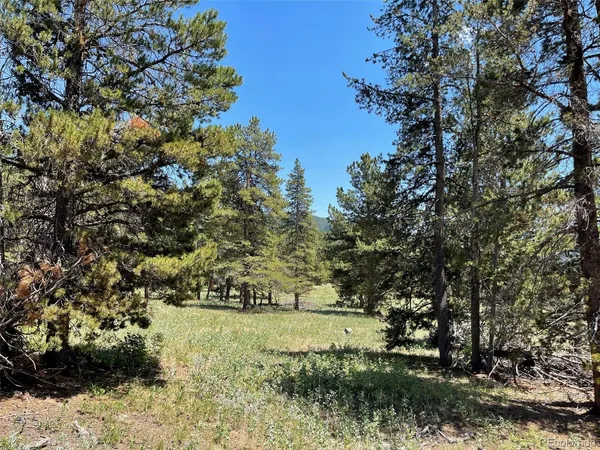 $718,200 | 50 Rudolph Ranch Road, Black Hawk, CO 80422