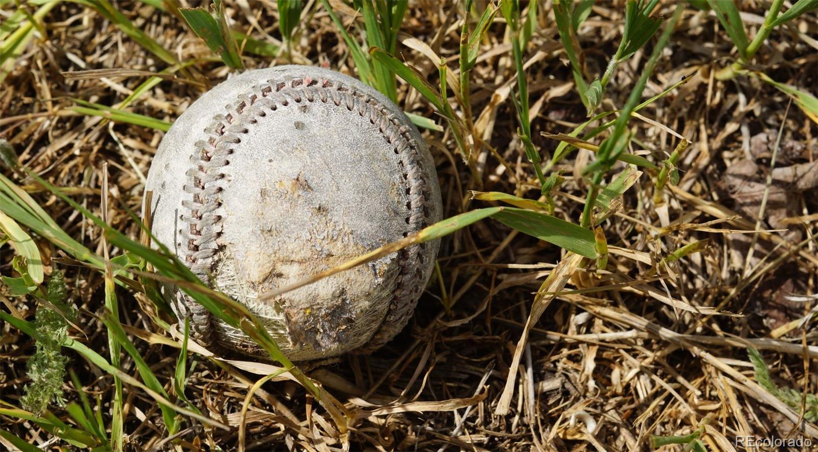 50 Rudolph Ranch Road Black Hawk, CO 80422 - Photo 23 of 38