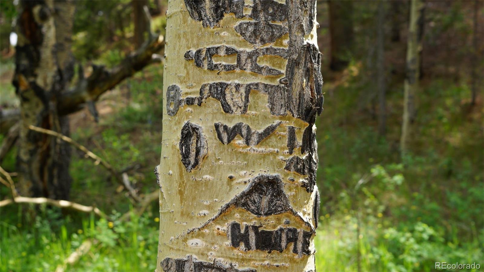 50 Rudolph Ranch Road Black Hawk, CO 80422 - Photo 28 of 38