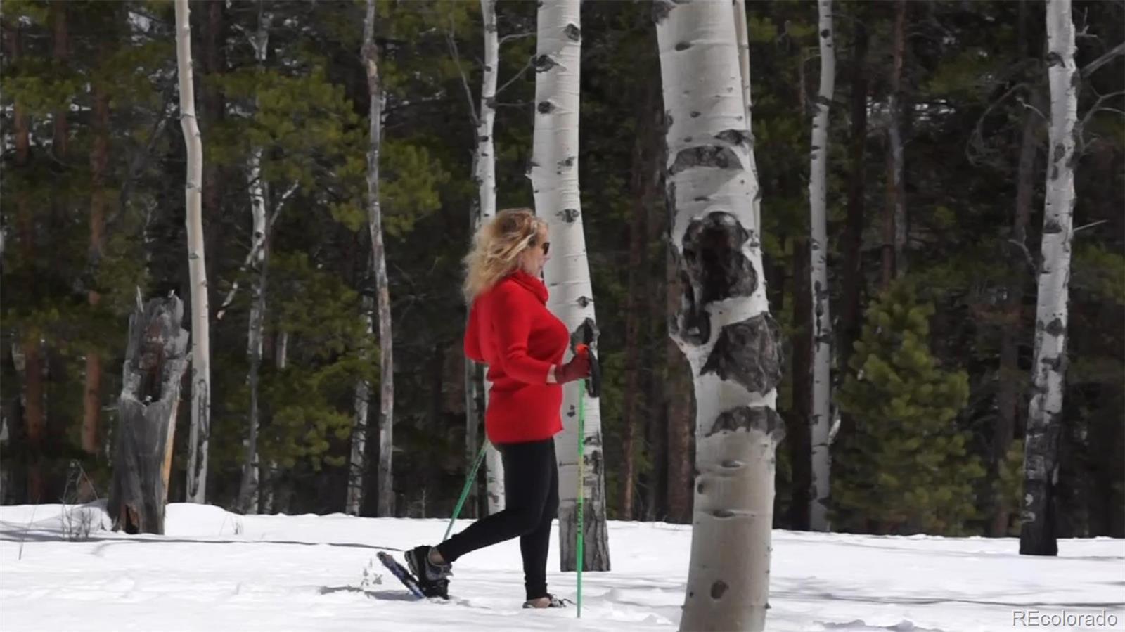 50 Rudolph Ranch Road Black Hawk, CO 80422 - Photo 33 of 38