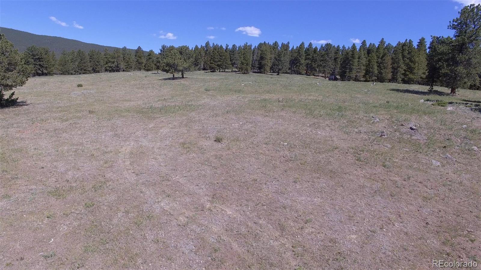 50 Rudolph Ranch Road Black Hawk, CO 80422 - Photo 6 of 38