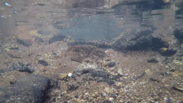 $718,200 | 50 Rudolph Ranch Road, Black Hawk, CO 80422