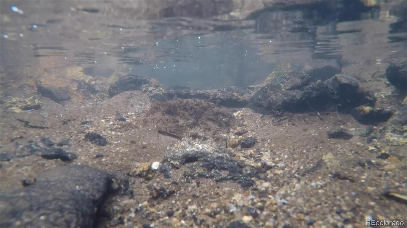 50 Rudolph Ranch Road Black Hawk, CO 80422 - Photo 9 of 38