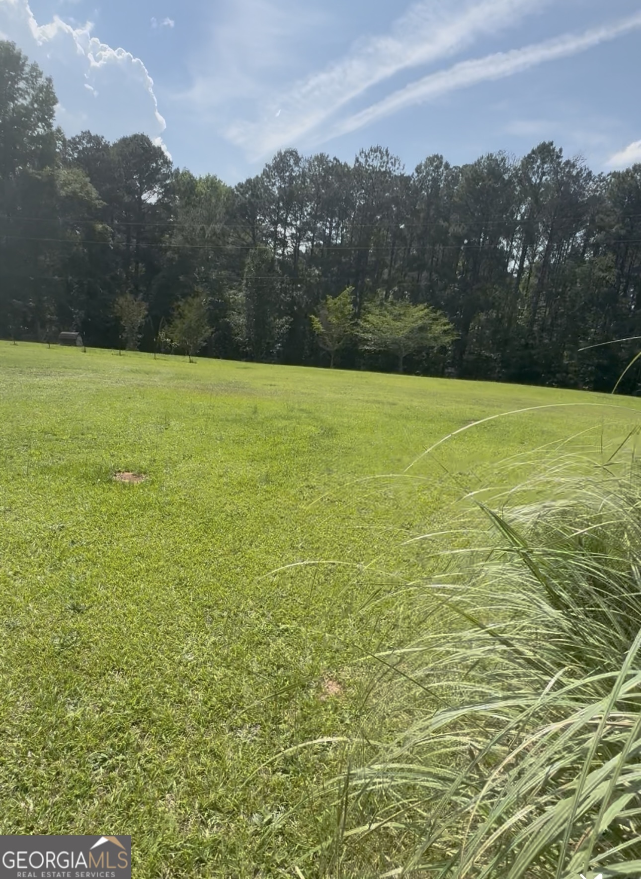 733 Old Social Circle Road Social Circle, GA 30025 - Photo 3 of 3