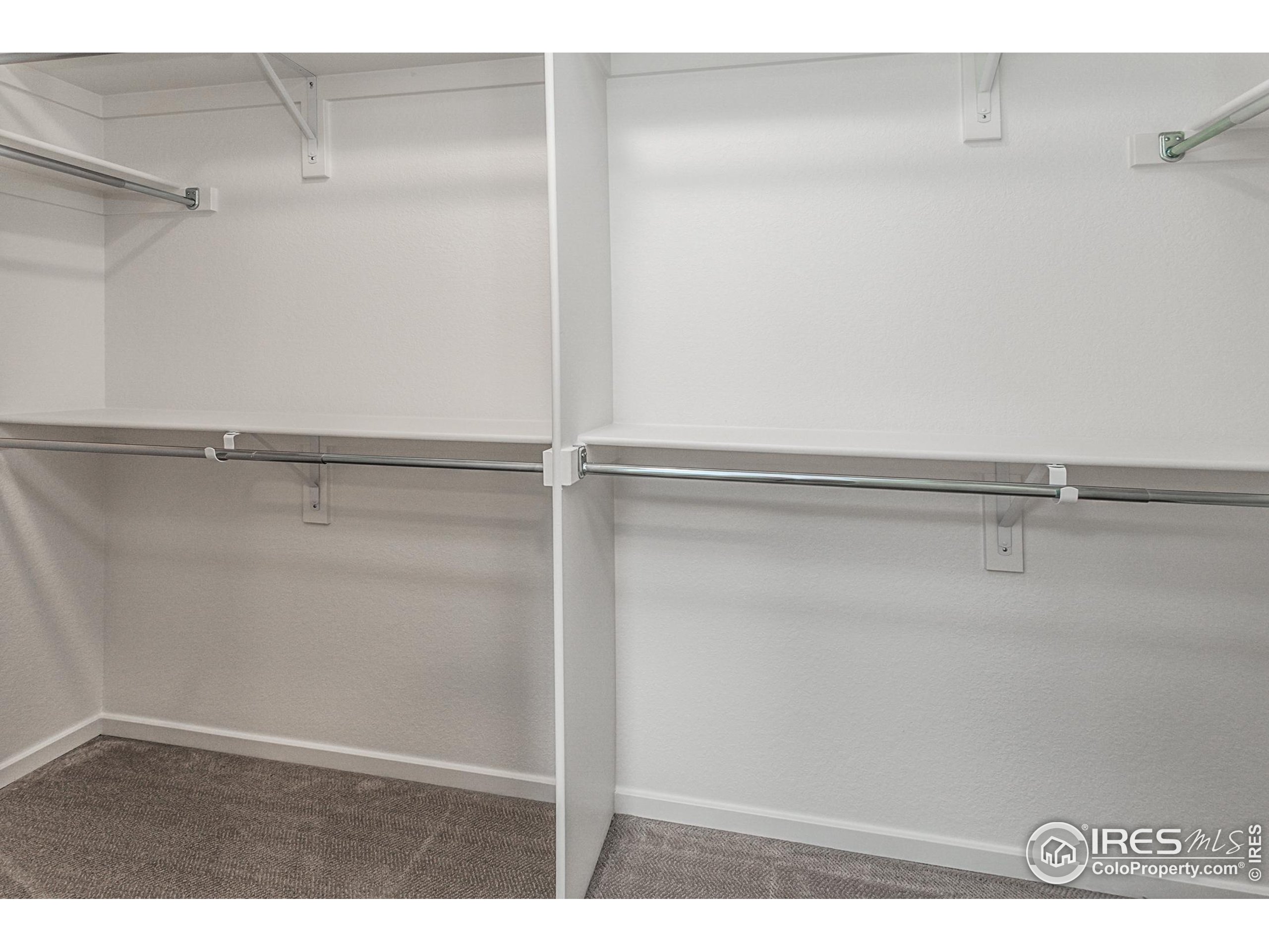 3171 Conquest Street Fort Collins, CO 80524 - Photo 29 of 35