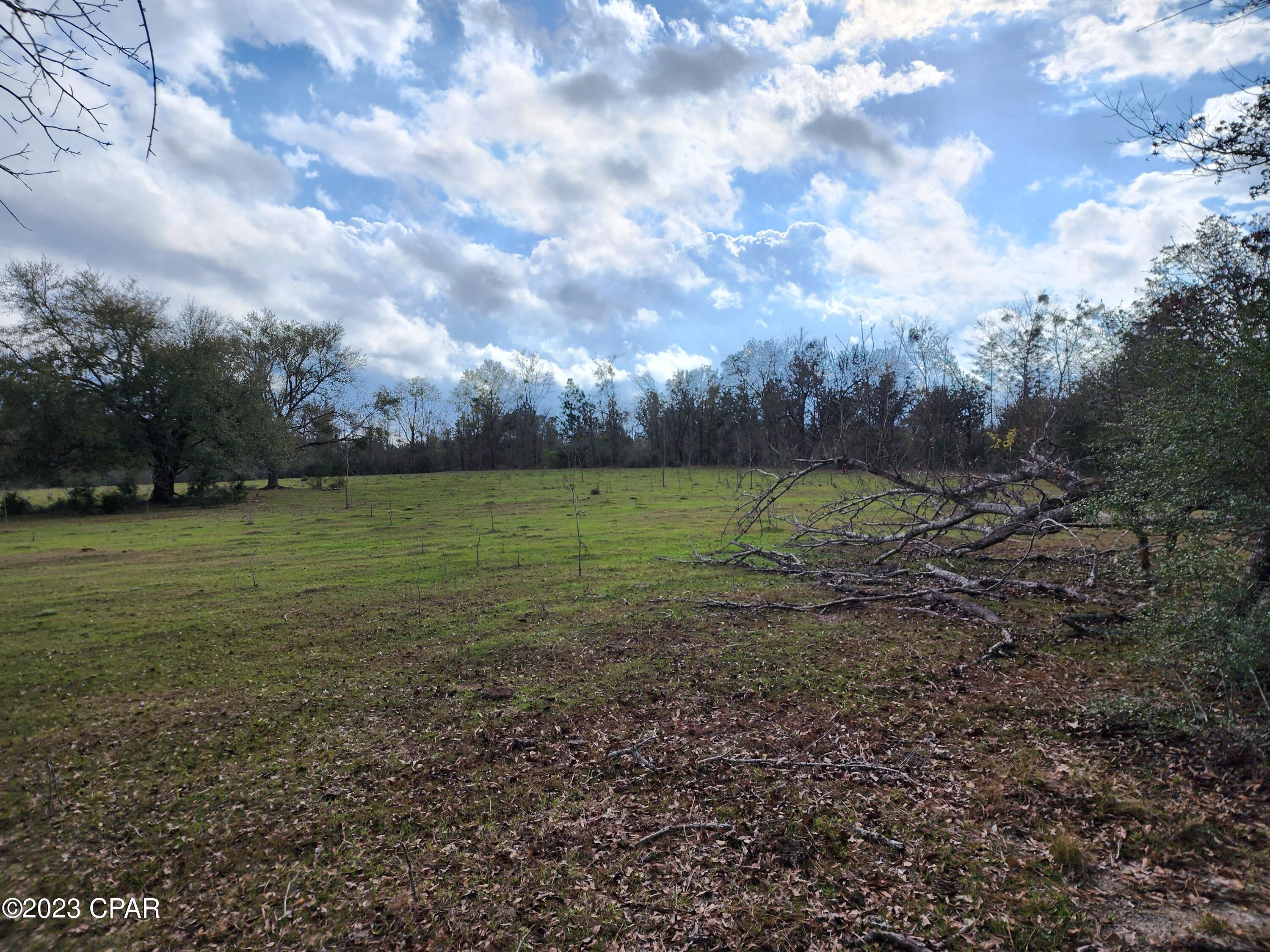 0 Pilgrim Rest Church Road Marianna, FL 32448 - Photo 46 of 95 Gallery Image 46