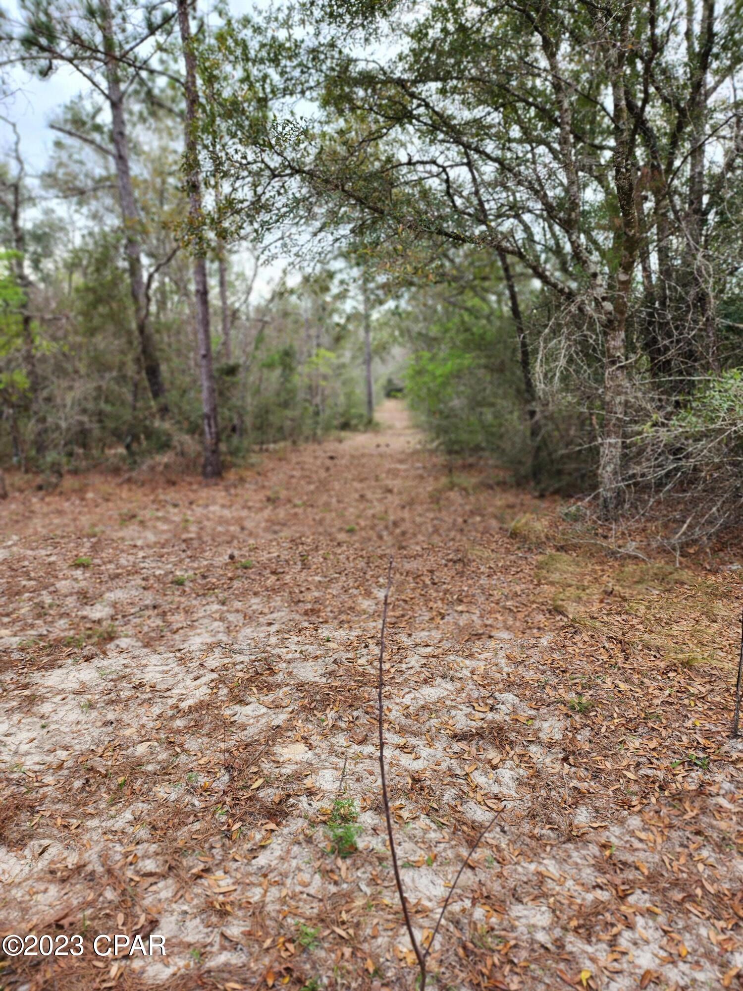 0 Pilgrim Rest Church Road Marianna, FL 32448 - Photo 54 of 95 Gallery Image 54