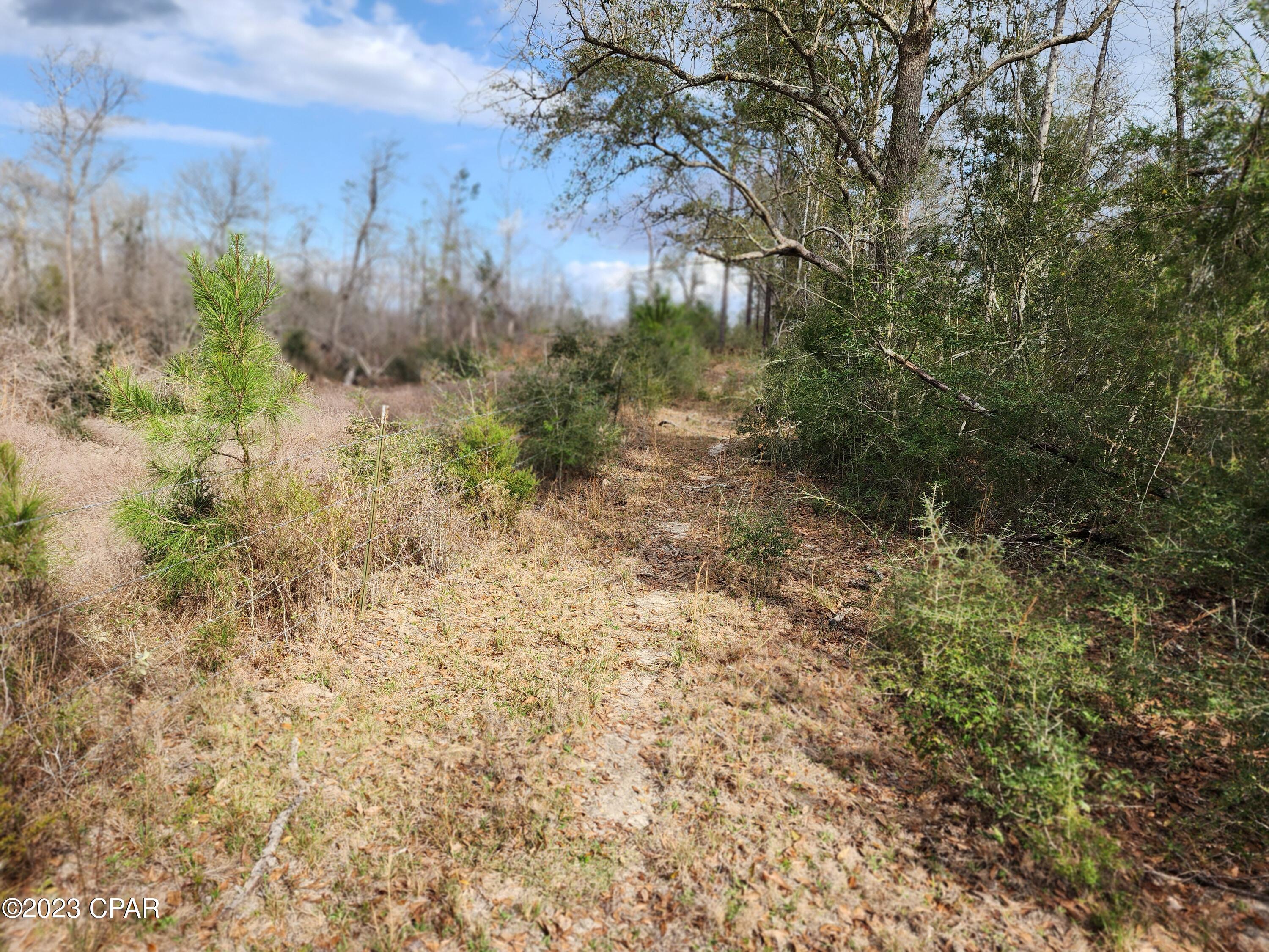 0 Pilgrim Rest Church Road Marianna, FL 32448 - Photo 57 of 95 Gallery Image 57