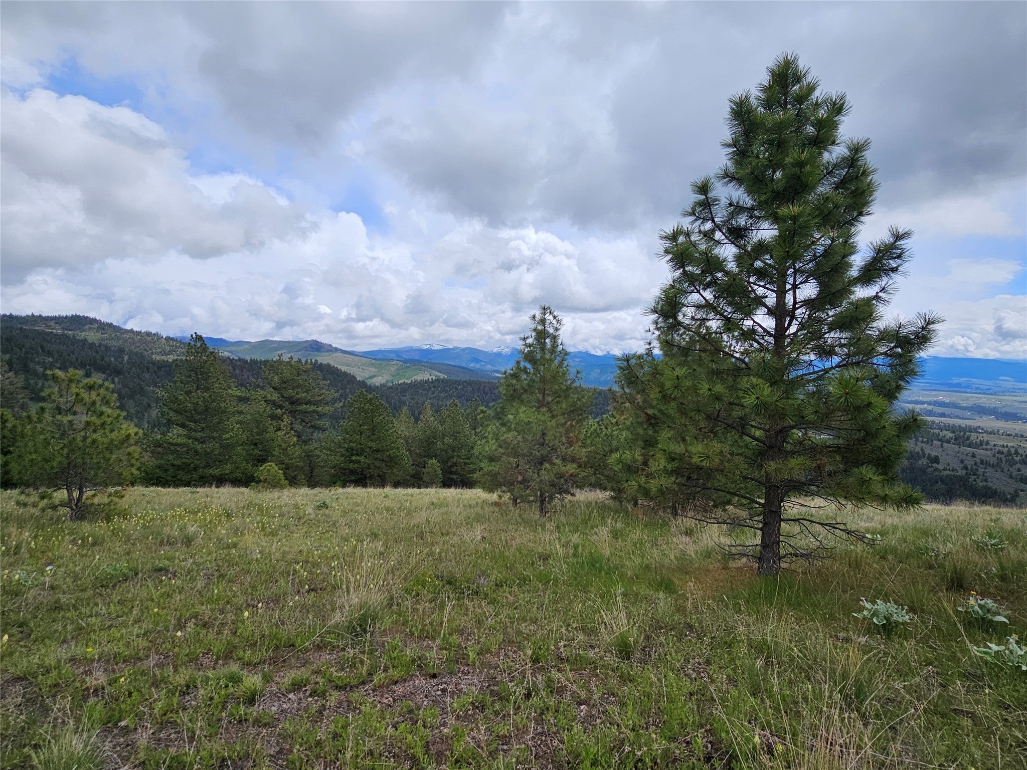 18866 Copper Rdg Trail Florence, MT 59833 - Photo 52 of 139 Gallery Image 52