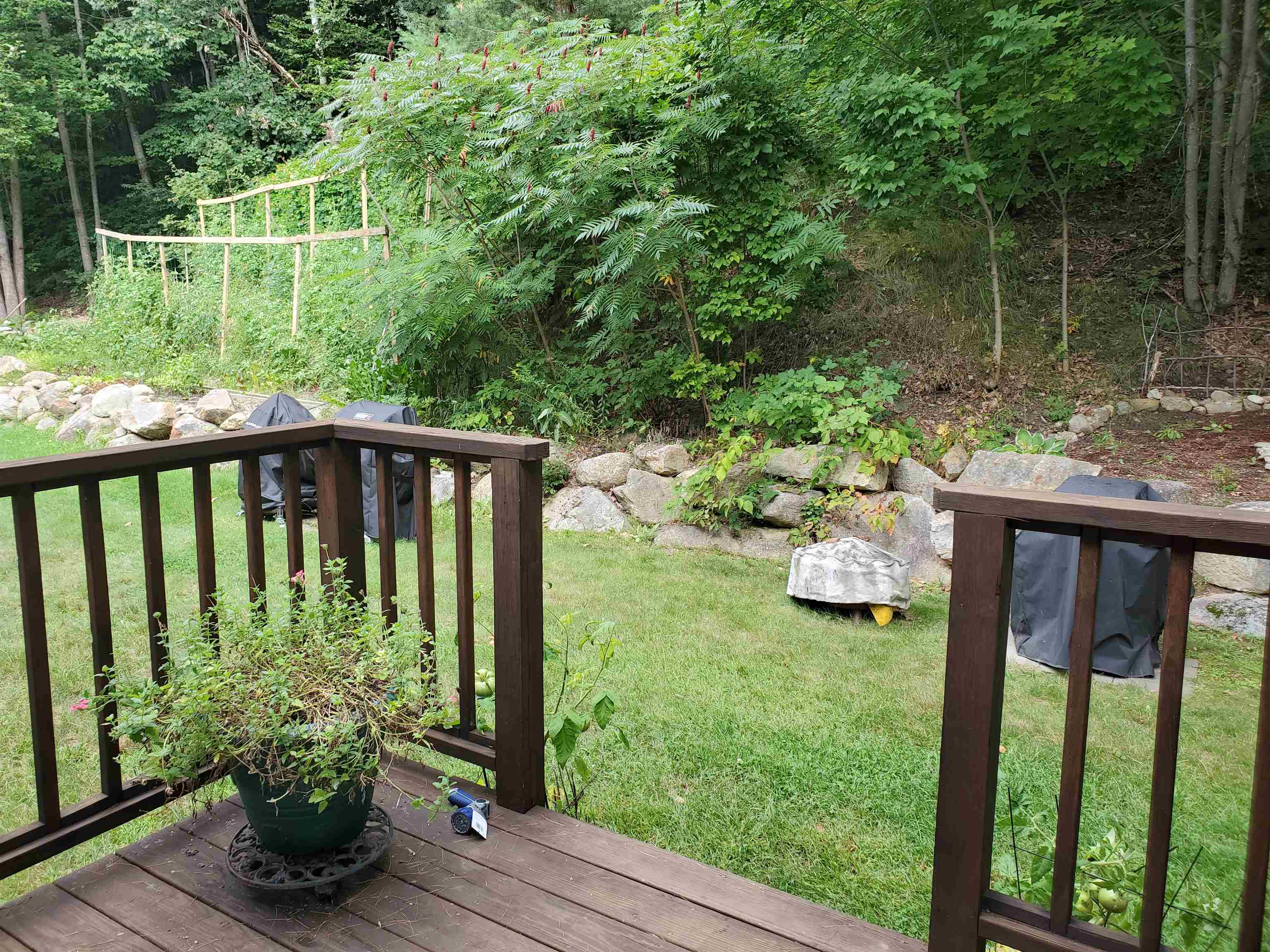 55 Collins Landing Road, Unit 76 Weare, NH 03281 - Photo 24 of 30