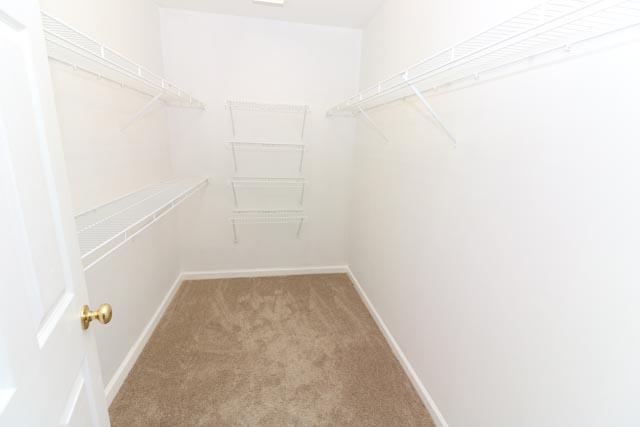 4252 Pea Ridge Road Maryville, TN 37804 - Photo 18 of 26 Master Closet