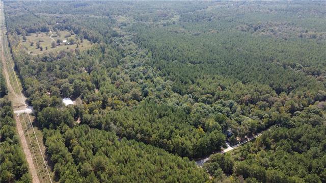 61-acres Stein Road Bogalusa, LA 70427 - Photo 5 of 5