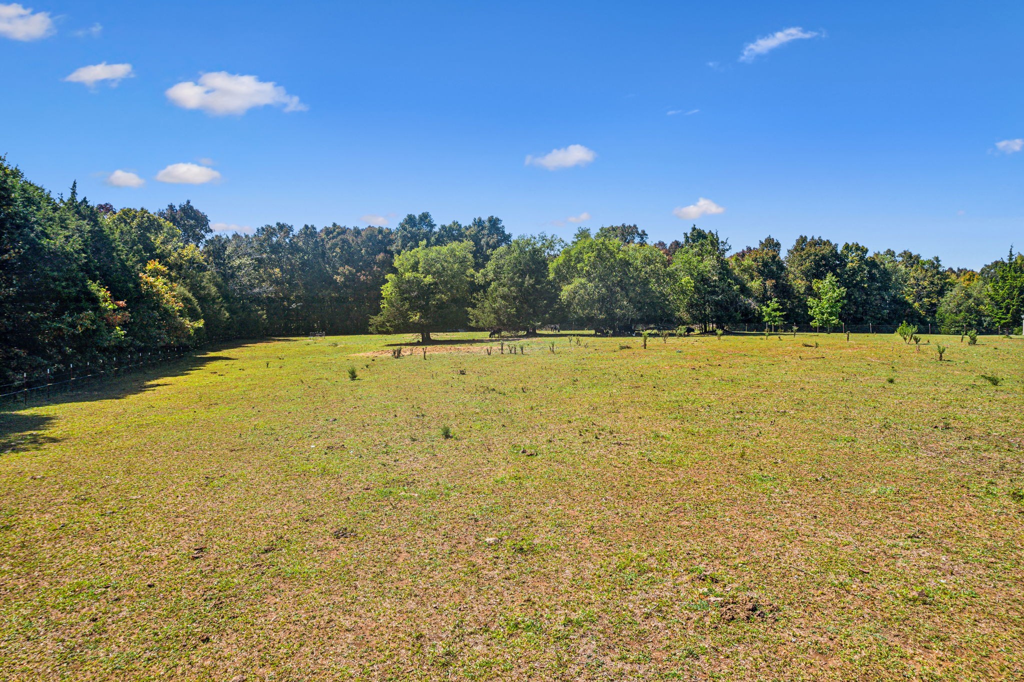 10795 Threet Road Christiana, TN 37037 - Photo 35 of 37 a view of outdoor space and yard