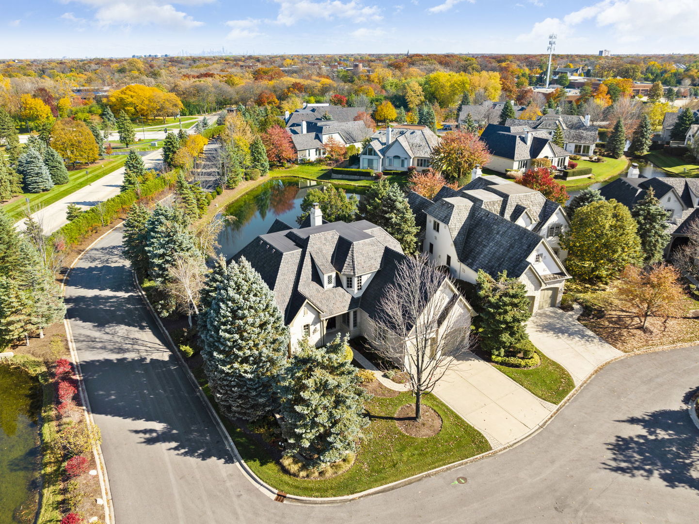 9 Forest Gate Circle Oak Brook, IL 60523 - Photo 32 of 39 a view of yard