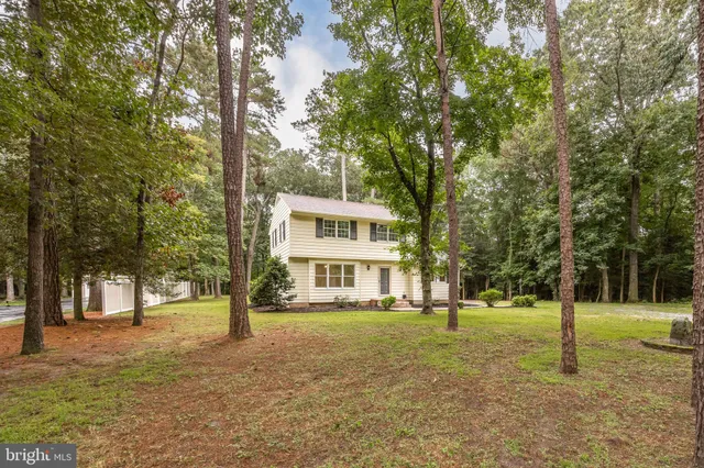 a view of a yard with tree s