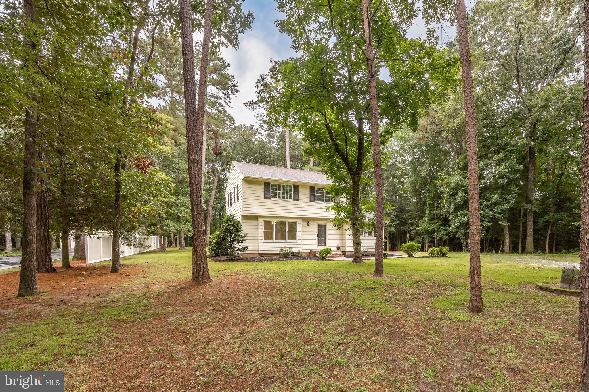 31939 Downing Road Delmar, MD 21875 - Photo 37 of 45 a view of a yard with tree s