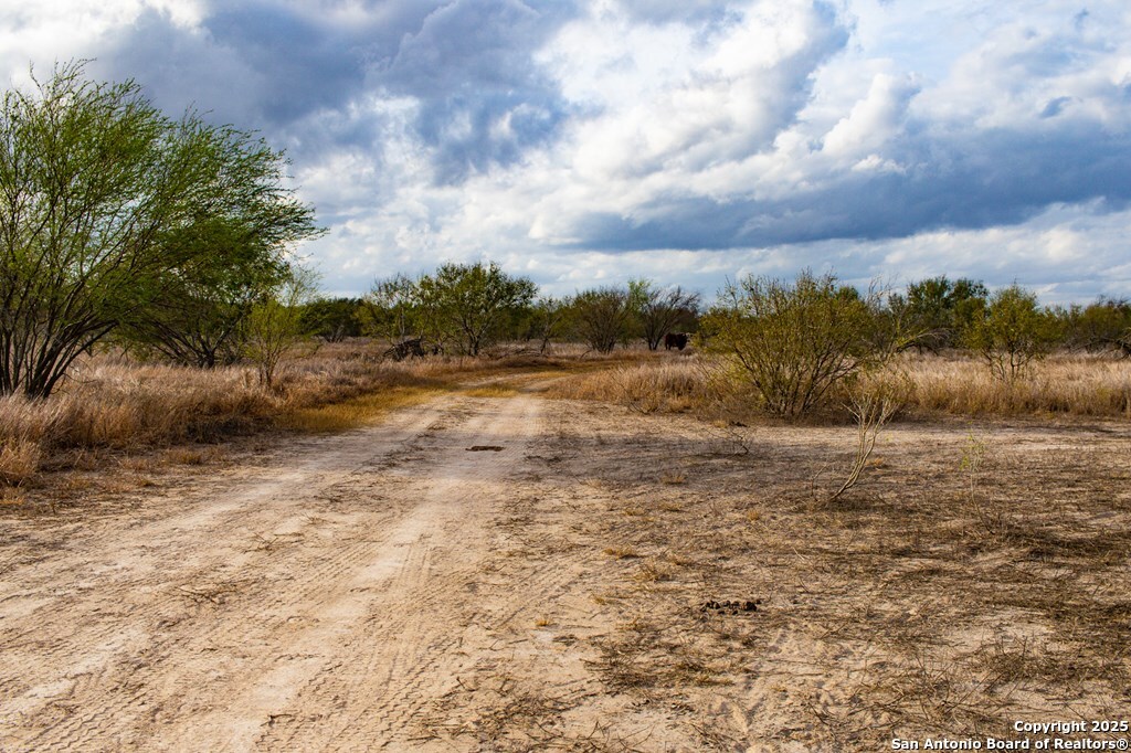 0 F M 799 George West, TX 78022 - Photo 15 of 23