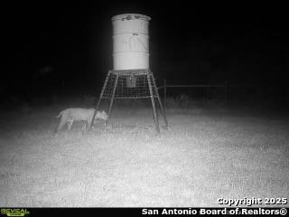 0 F M 799 George West, TX 78022 - Photo 17 of 23