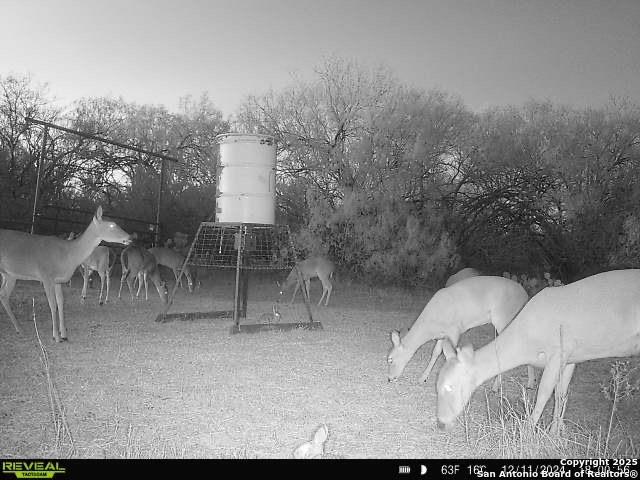 0 F M 799 George West, TX 78022 - Photo 19 of 23