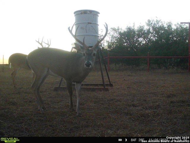 0 F M 799 George West, TX 78022 - Photo 5 of 23