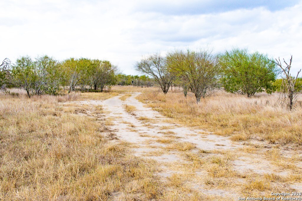 0 F M 799 George West, TX 78022 - Photo 6 of 23