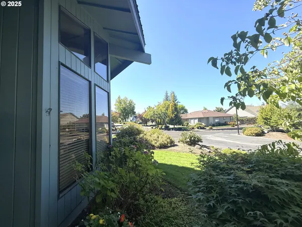 a view of swimming pool from a yard