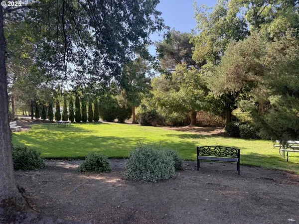 a view of a chair and table in backyard