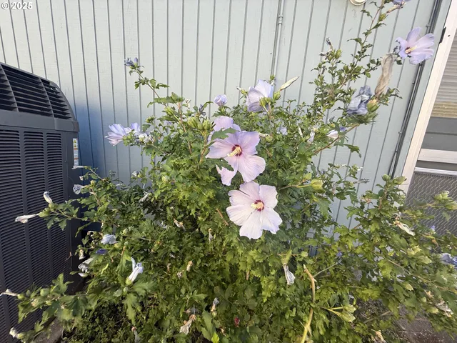 $449,000 | 2462 Senate Way, Medford, OR 97504