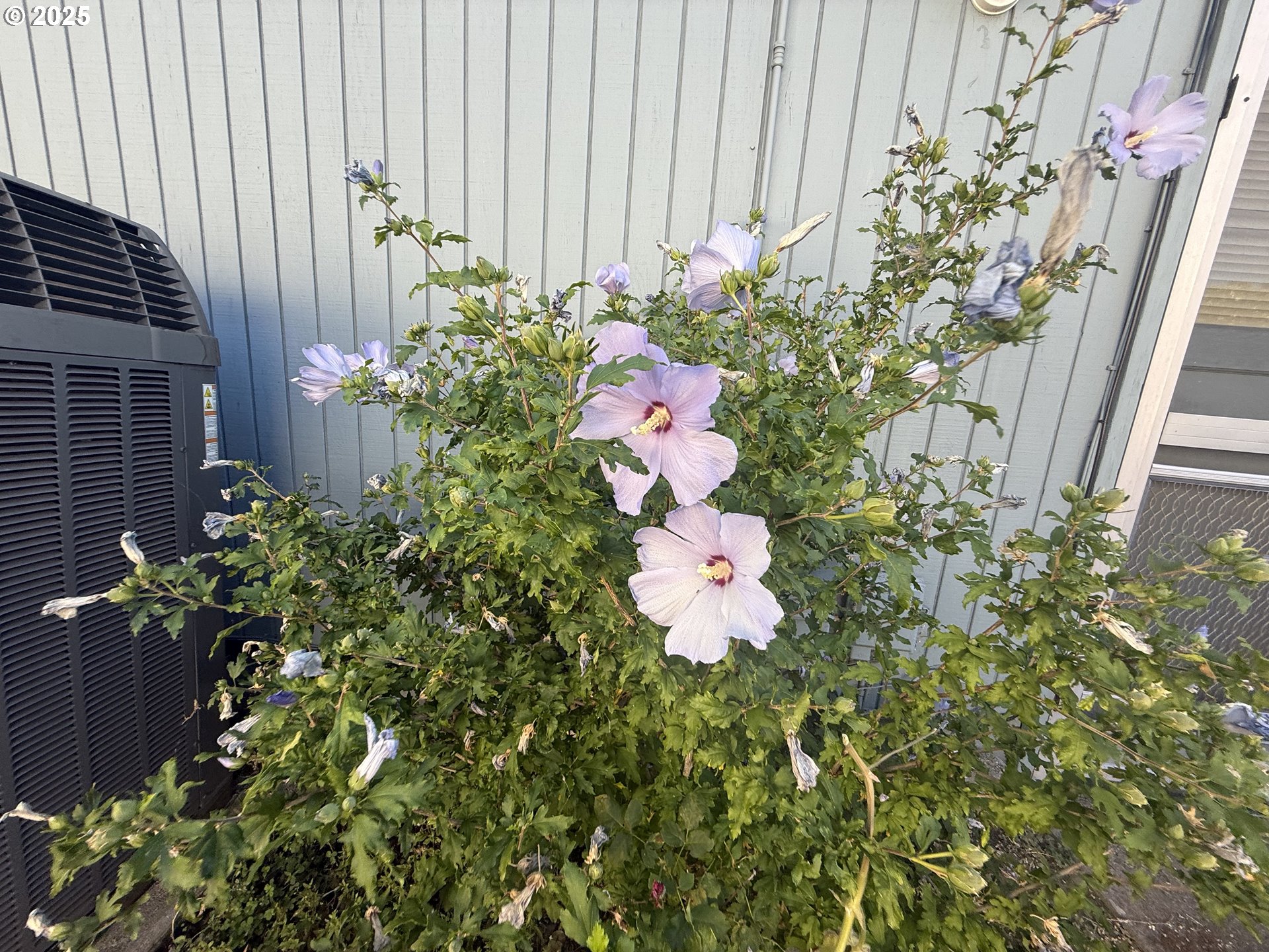 2462 Senate Way Medford, OR 97504 - Photo 35 of 36