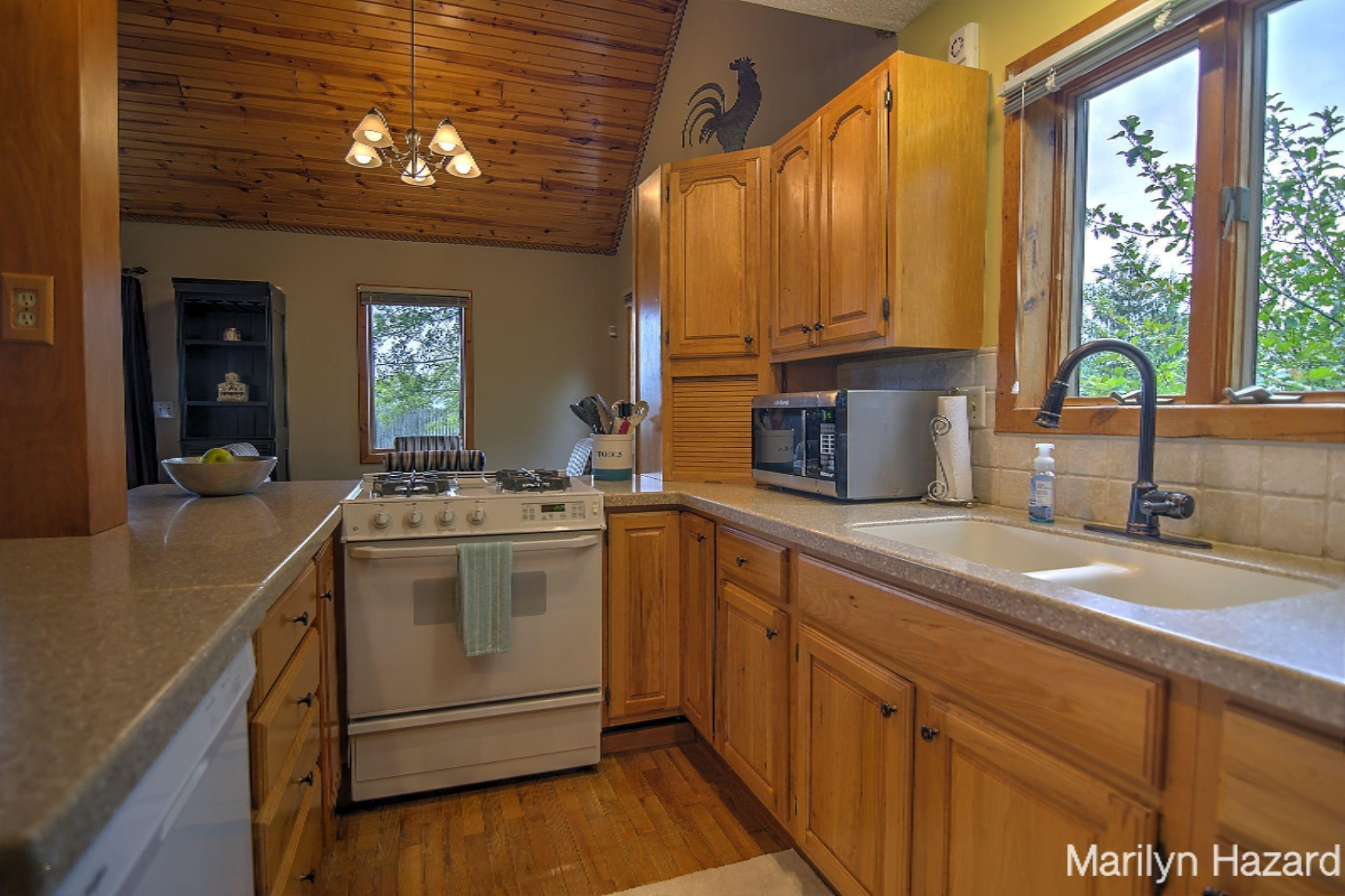 2580 Maple Hill Road Pierson, MI 49339 - Photo 4 of 49 DSC_0401And10more_Interior 3
