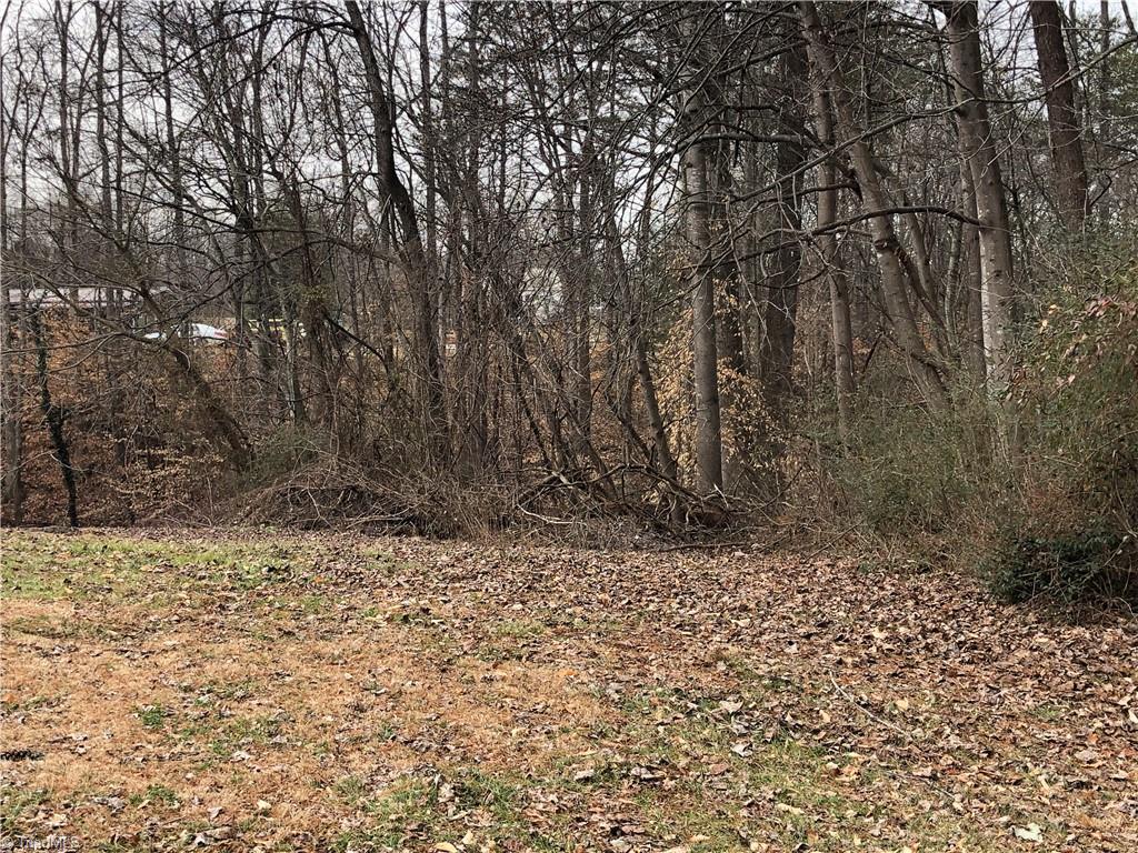 Tbd McBride Road Mount Airy, NC 27030 - Photo 5 of 10 Gallery Image 5
