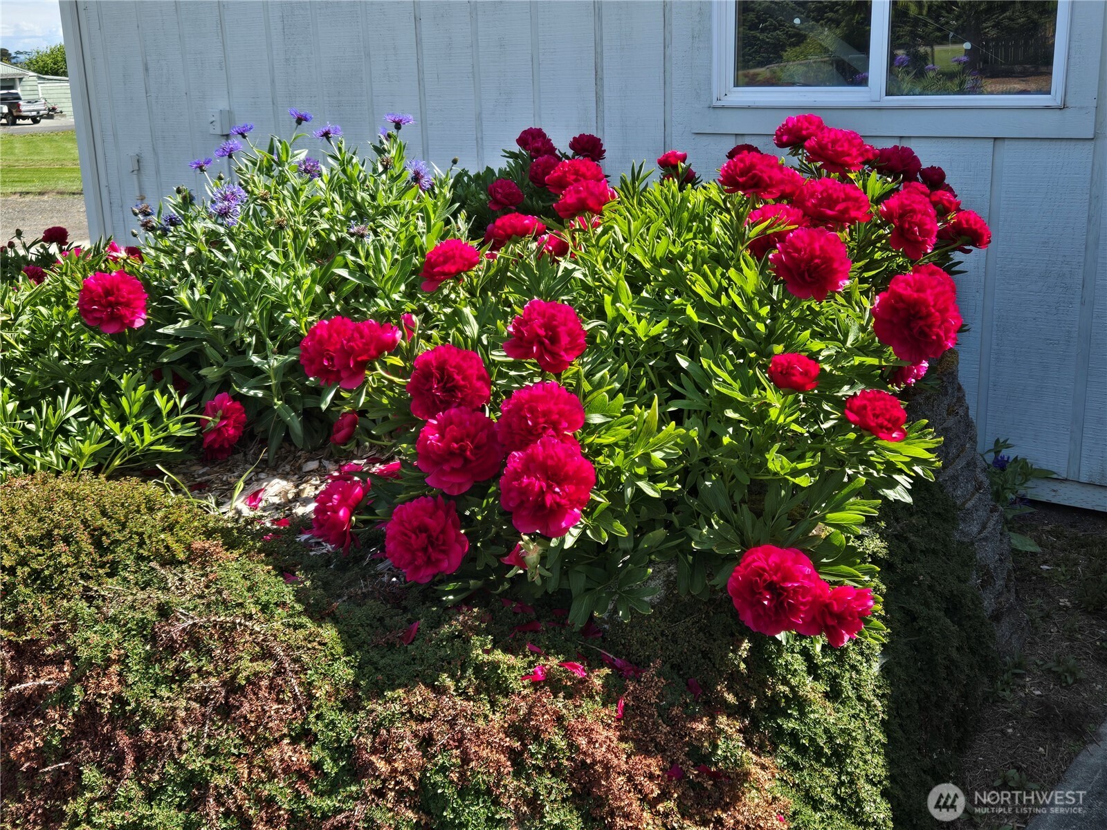 52 Libby Street Sequim, WA 98382 - Photo 31 of 33