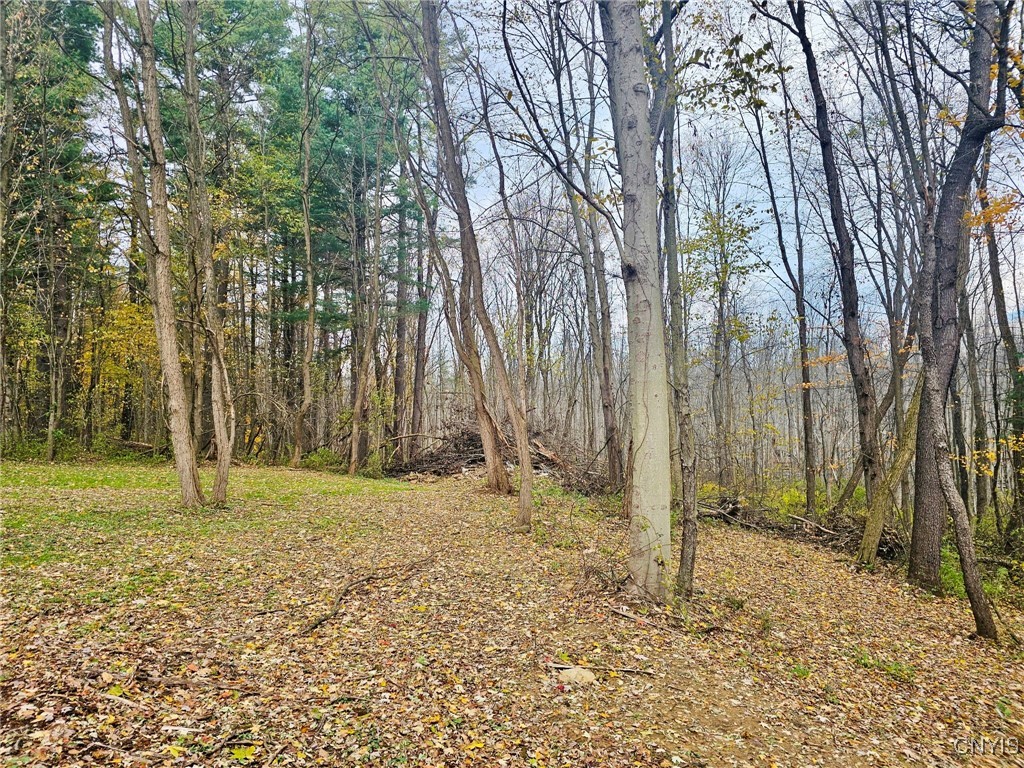 3447 Lysander Road Ira, NY 13033 - Photo 19 of 21