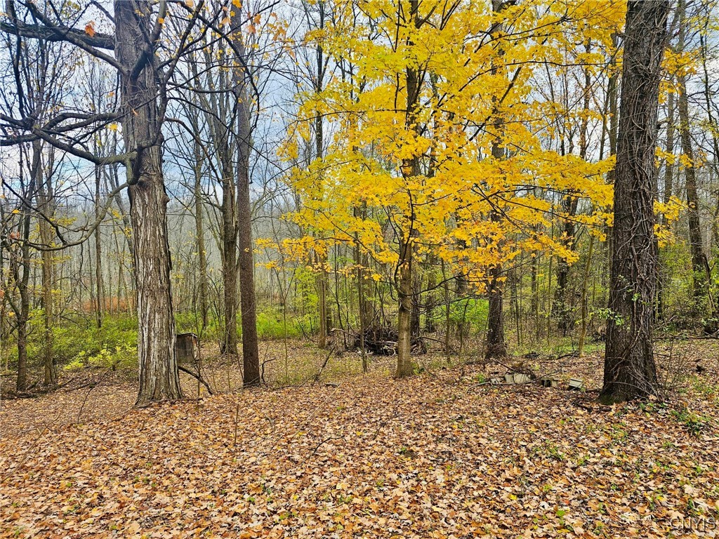 3447 Lysander Road Ira, NY 13033 - Photo 20 of 21