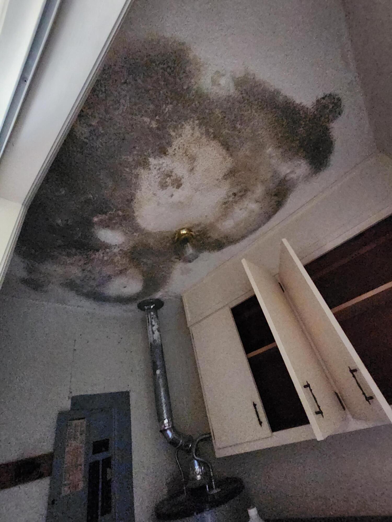 385 West Trippe Street Harlem, GA 30814 - Photo 14 of 25 1000007963