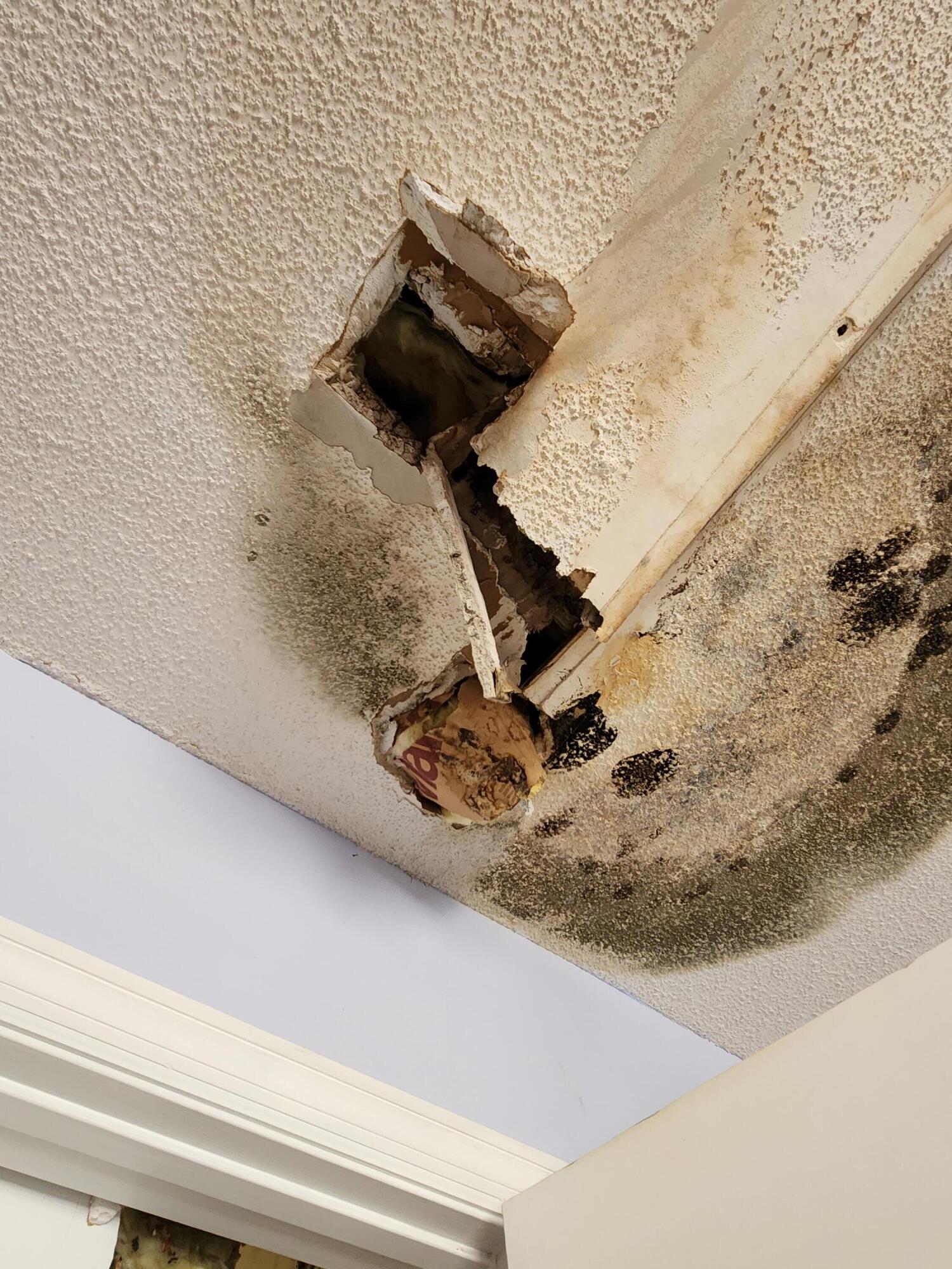 385 West Trippe Street Harlem, GA 30814 - Photo 24 of 25 1000007973