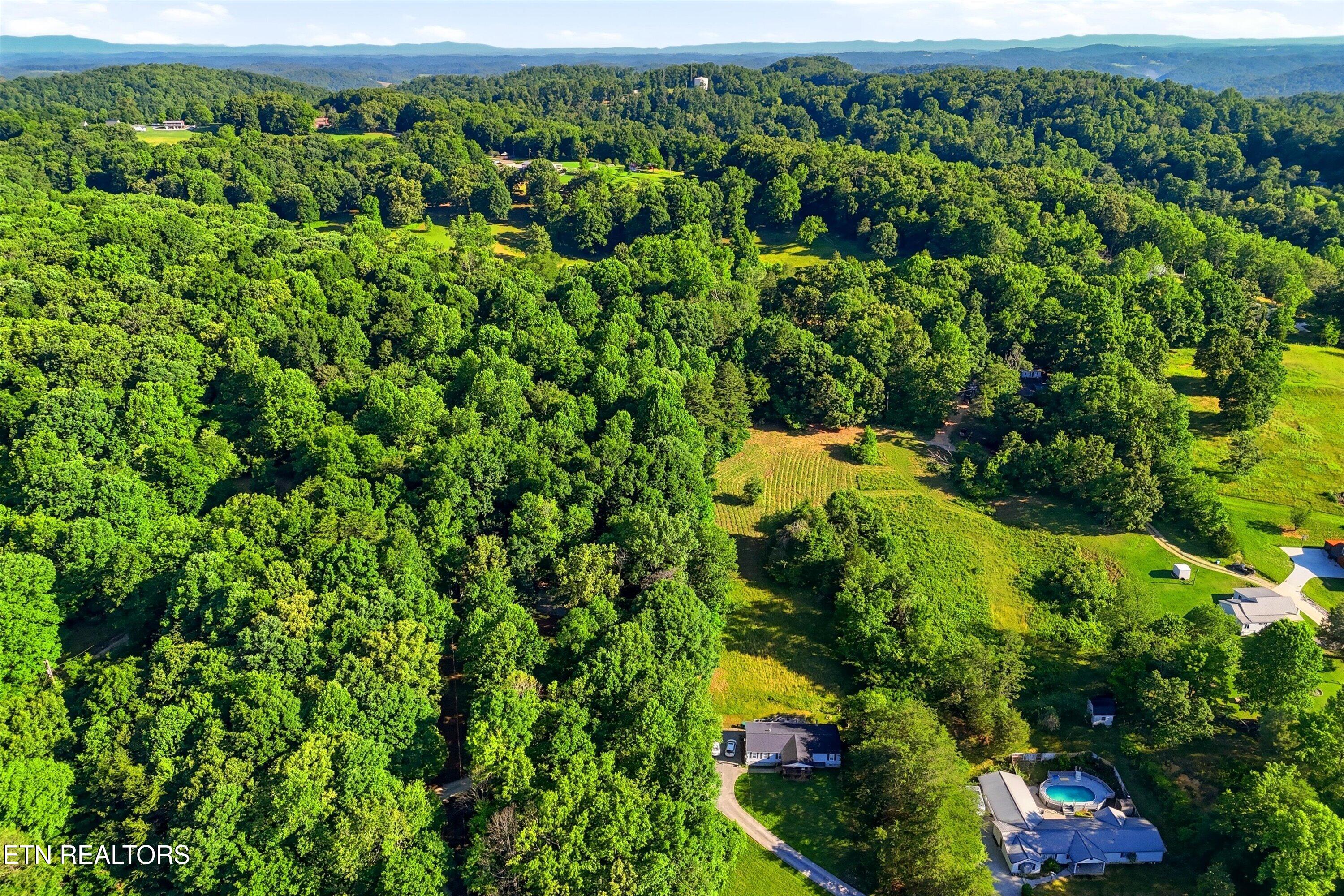 Daniels Road, Unit A Knoxville, TN 37938 - Photo 21 of 34 33-Daniels Rd-33