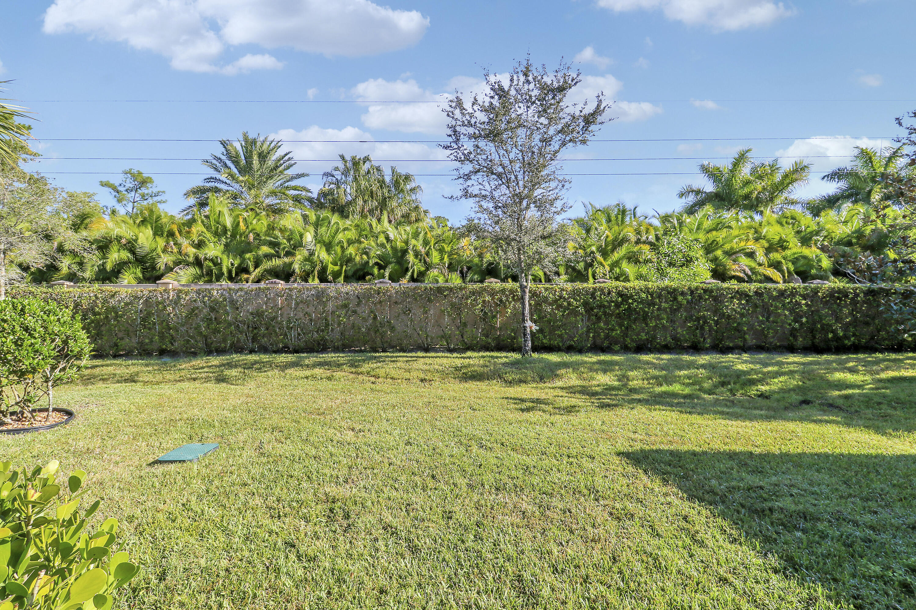 11215 Southwest Visconti Way Port St. Lucie, FL 34986 - Photo 26 of 61 Back Yard