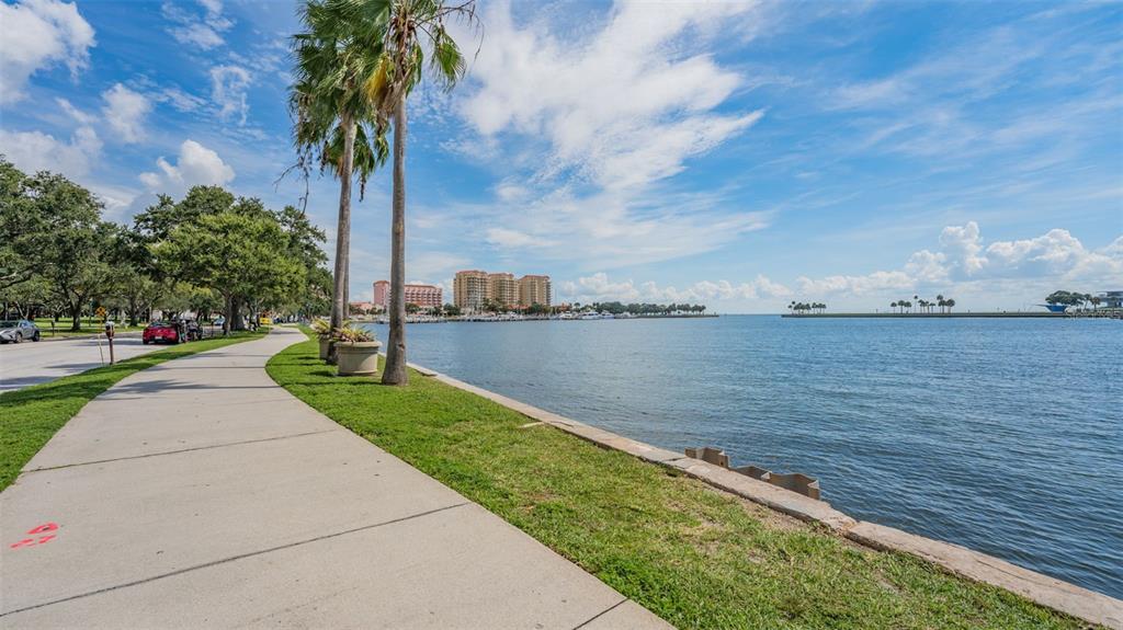 465 Central Avenue, Unit 301 St. Petersburg, FL 33701 - Photo 44 of 47 a view of a lake with a yard and palm trees