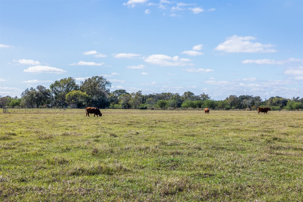 4231 Johnston Road Wallis, TX 77485 - Photo 30 of 43 a view of a lake view