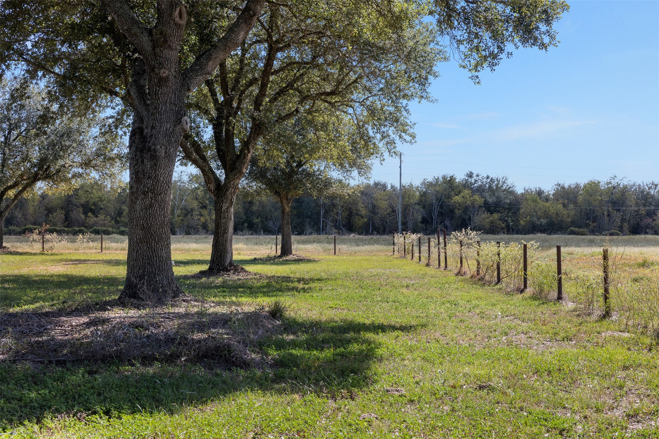 4231 Johnston Road Wallis, TX 77485 - Photo 8 of 43 a view of backyard with green space